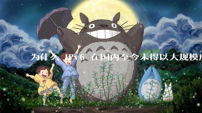 为什么 IPv6 在国内至今未得以大规模应用?