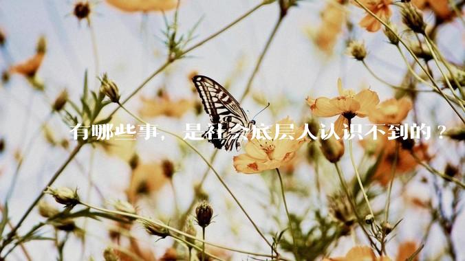 有哪些事，是社会底层人认识不到的?